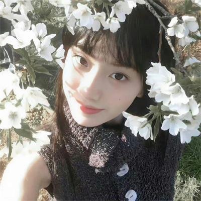 神犬小七第二季