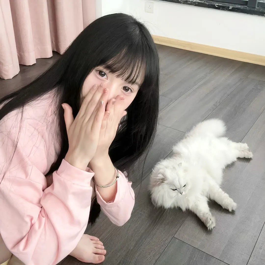 源氏物语：千年之谜